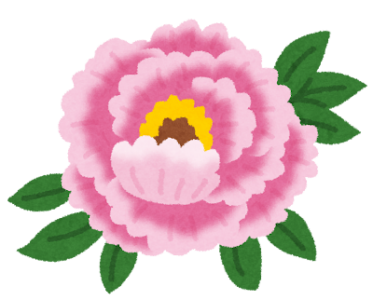 「立てば芍薬、座れば牡丹」には意味がある？｜花と漢方にまつわる面白い豆知識のアイキャッチ画像