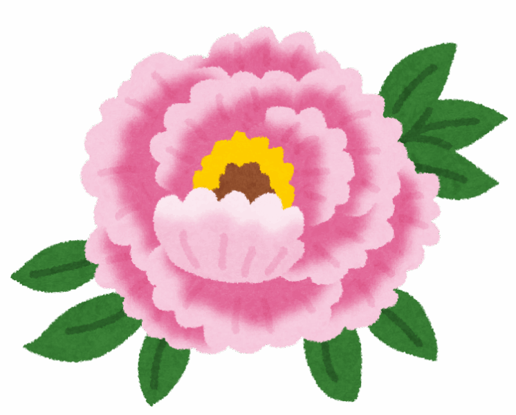「立てば芍薬、座れば牡丹」には意味がある？｜花と漢方にまつわる面白い豆知識のアイキャッチ画像