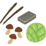 宝塚市の大腸カメラで発見された大腸ポリープの内視鏡画像