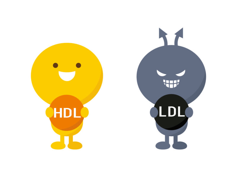 LDL（悪玉）コレステロールが高いと言われたら｜原因・改善方法・薬が必要な人を医師がわかりやすく解説のアイキャッチ画像