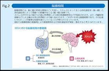 過敏性腸症候群（IBS）イメージ